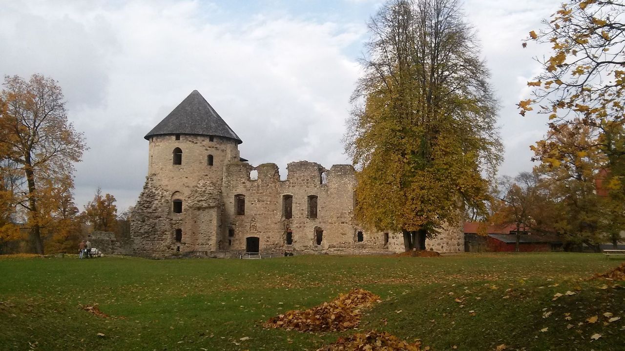 Cėsų pilies griuvėsiai su kūginio stogo bokštu, priekyje žolė ir rudeniniai lapai