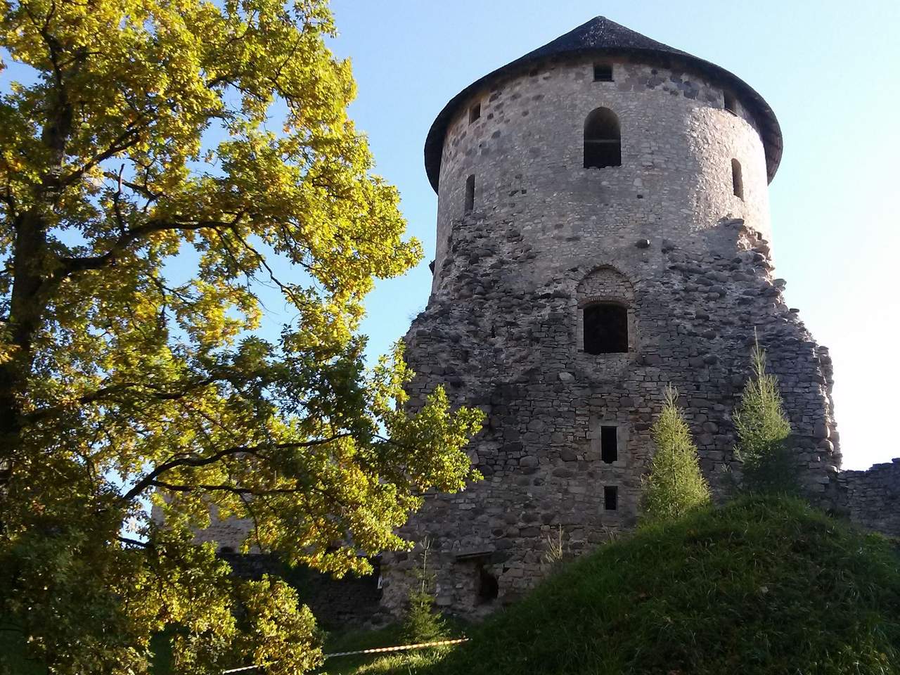 Apvalus Cėsų pilies bokštas su kūginiu stogu ir akmeninėmis sienomis, šalia geltonuojantis ąžuolas