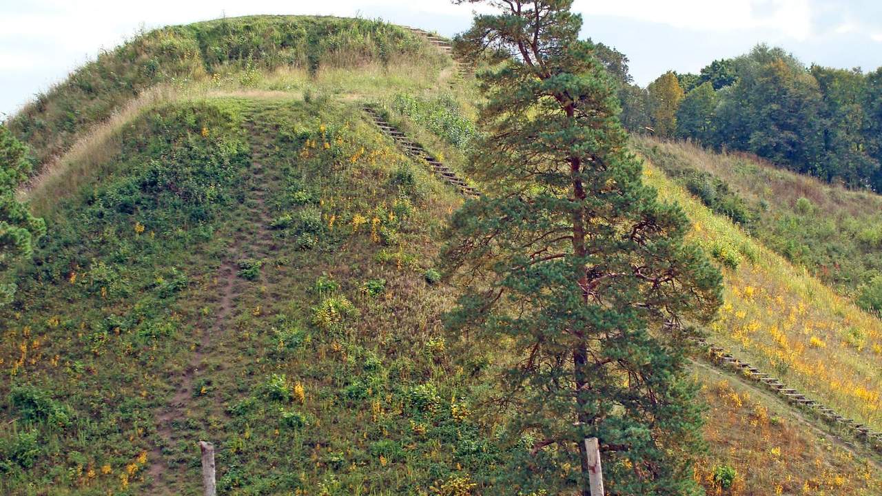Stati žolėta Kernavės piliakalnio pakopa su mediniais laiptais ir pušimi priekyje