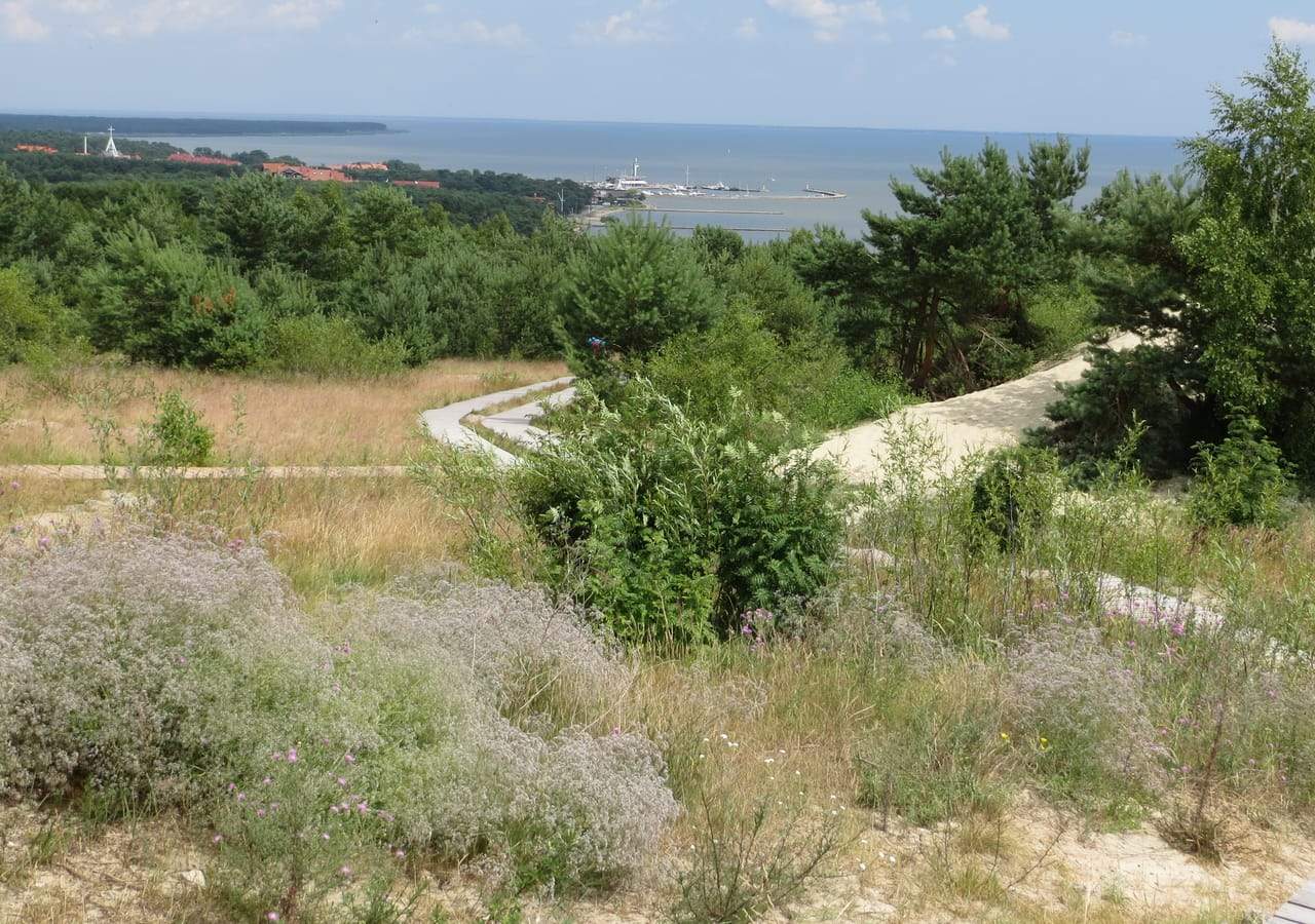 Nidos uostas ir mišku apaugęs Kuršių marių krantas, žvelgiant nuo kopos