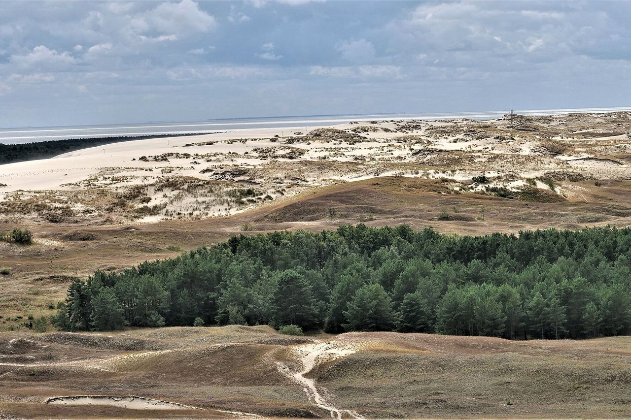 Kuršių nerijos kopos prie Nidos su pušynu ir marių pakrante