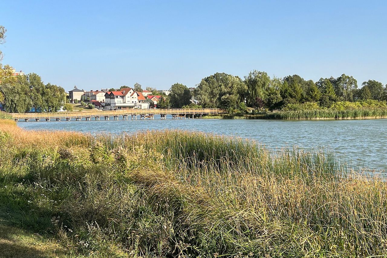 Arkadijos tvenkinio krantas Suvalkuose, už vandens medinis pomostas ir namai raudonais stogais giedrą dieną
