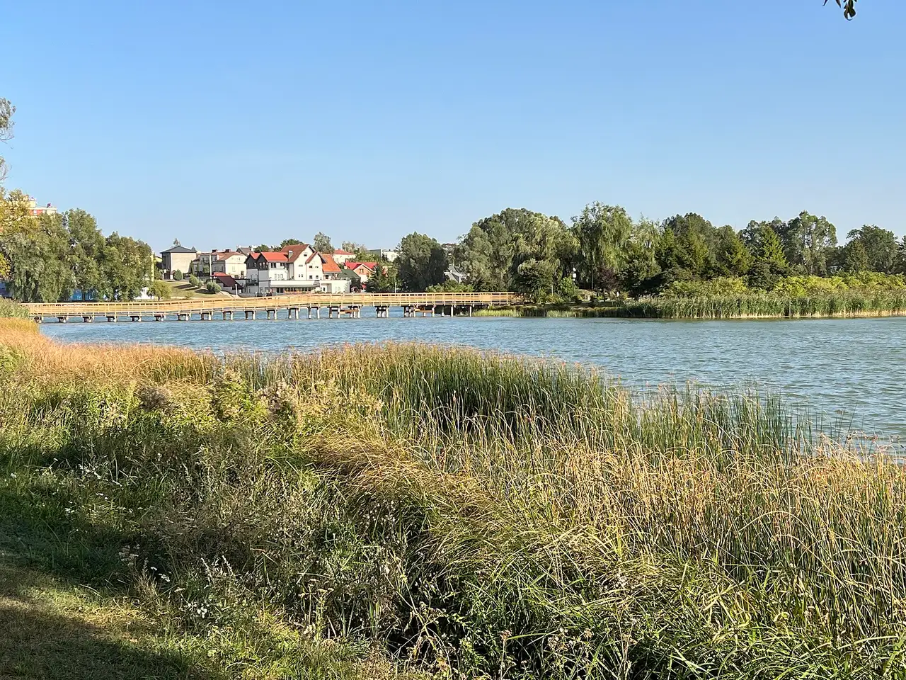 Arkadijos tvenkinio krantas Suvalkuose, už vandens medinis pomostas ir namai raudonais stogais giedrą dieną