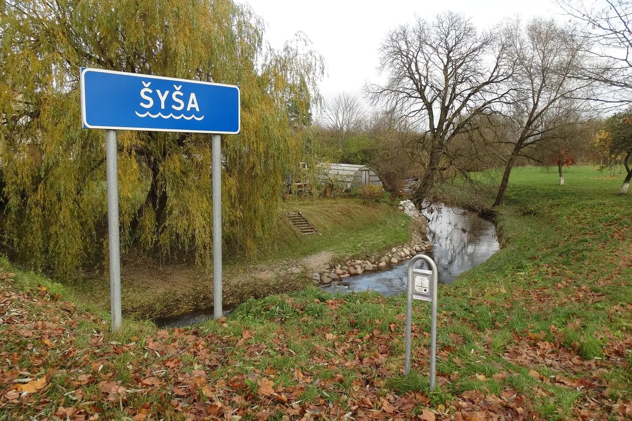 Šyšos upelis Katyčiuose su ženklu „Šyša“, rudens medžiai ir žolė
