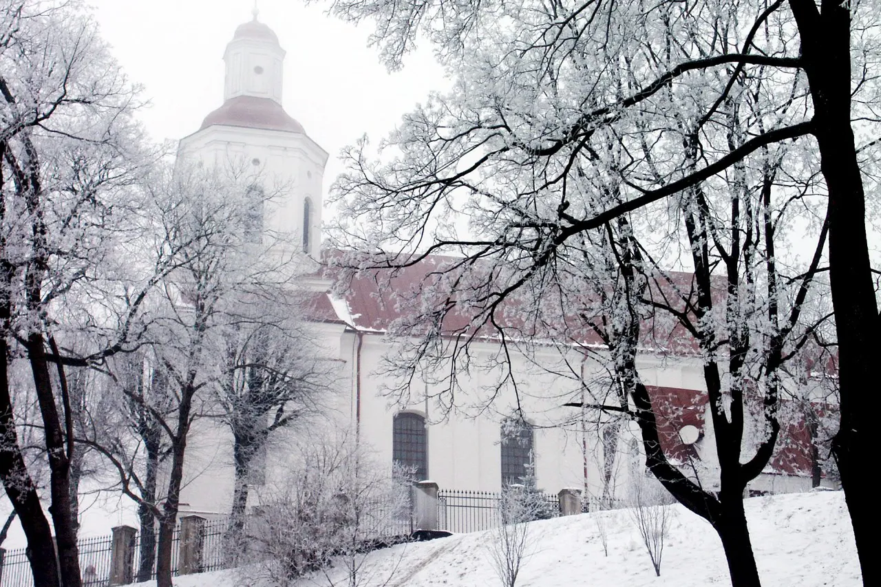 Šerkšnu pasidengę medžiai ir balta Telšių katedra žiemą