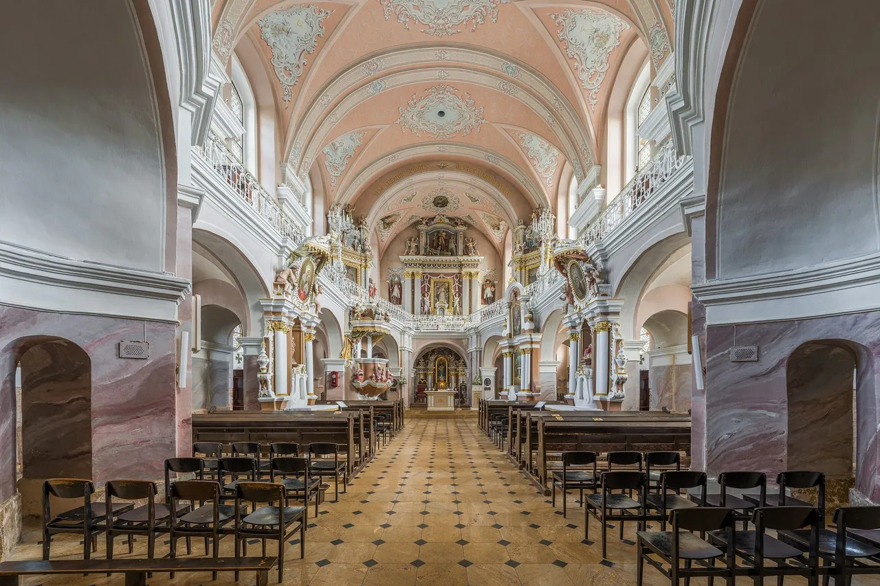 Šviesus Telšių katedros vidus: rožiniai skliautai, altorius ir medinių suolų eilės