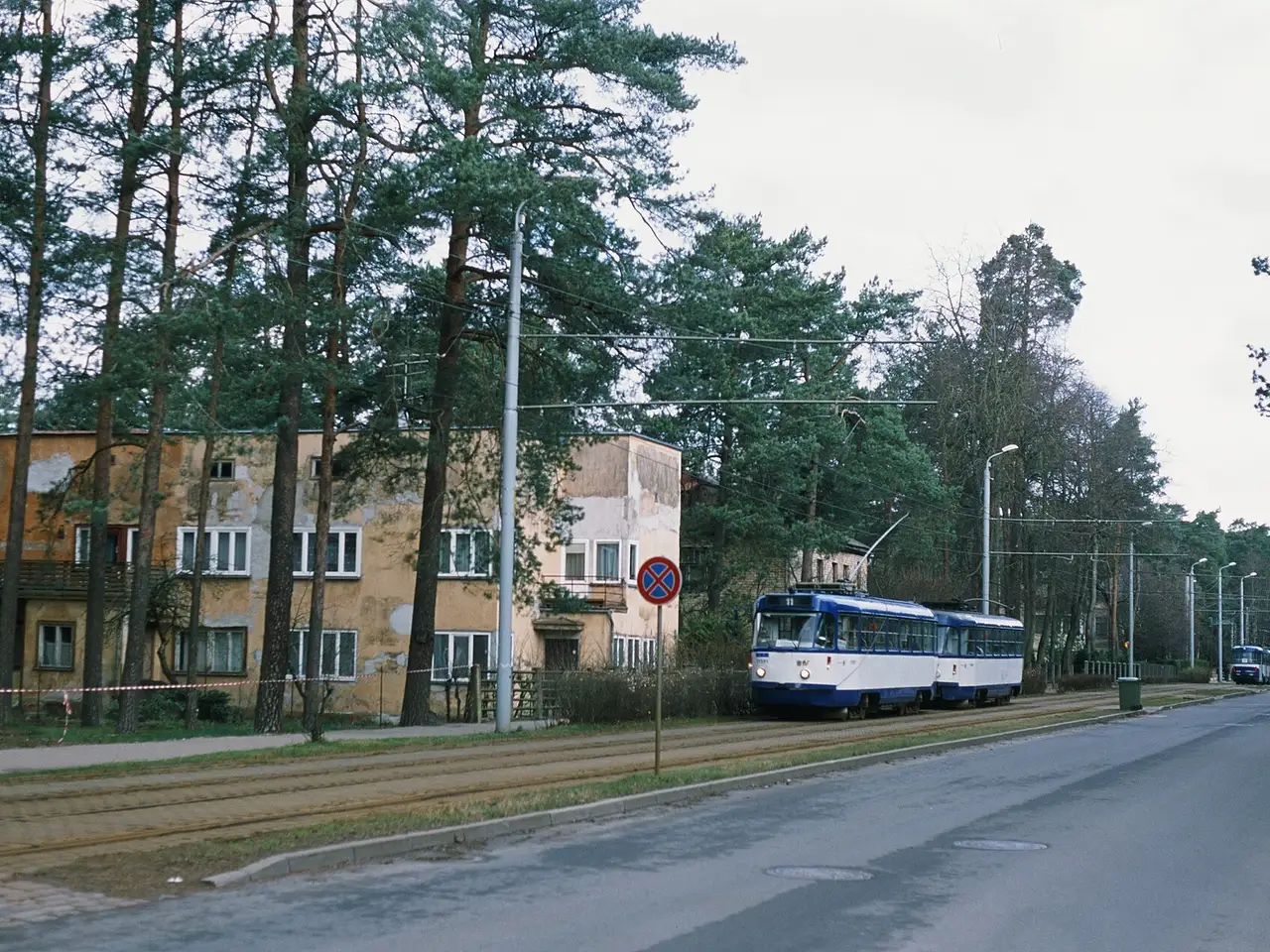 Mėlynai baltas Rygos tramvajus važiuoja gatve tarp pušų ir geltono namo