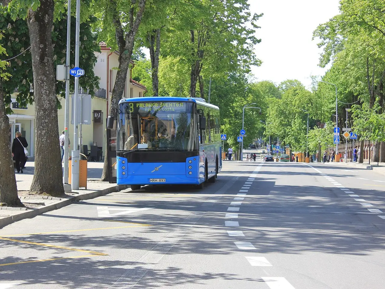 Mėlynas miesto autobusas sustoja Vytauto gatvėje Palangoje, abipus kelio auga žali medžiai
